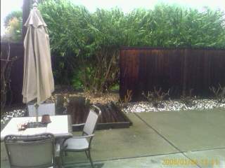 storm continues